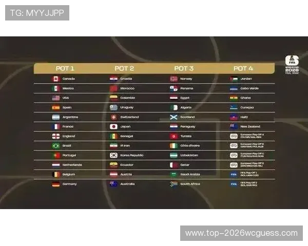 足球世界杯签证申请难题引发多国球迷不满